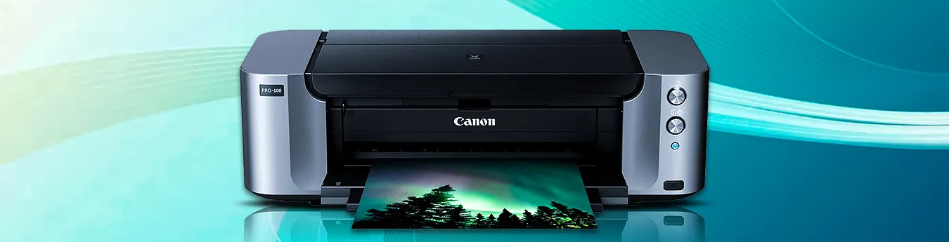 Canon Printer Not Showing Up on Network